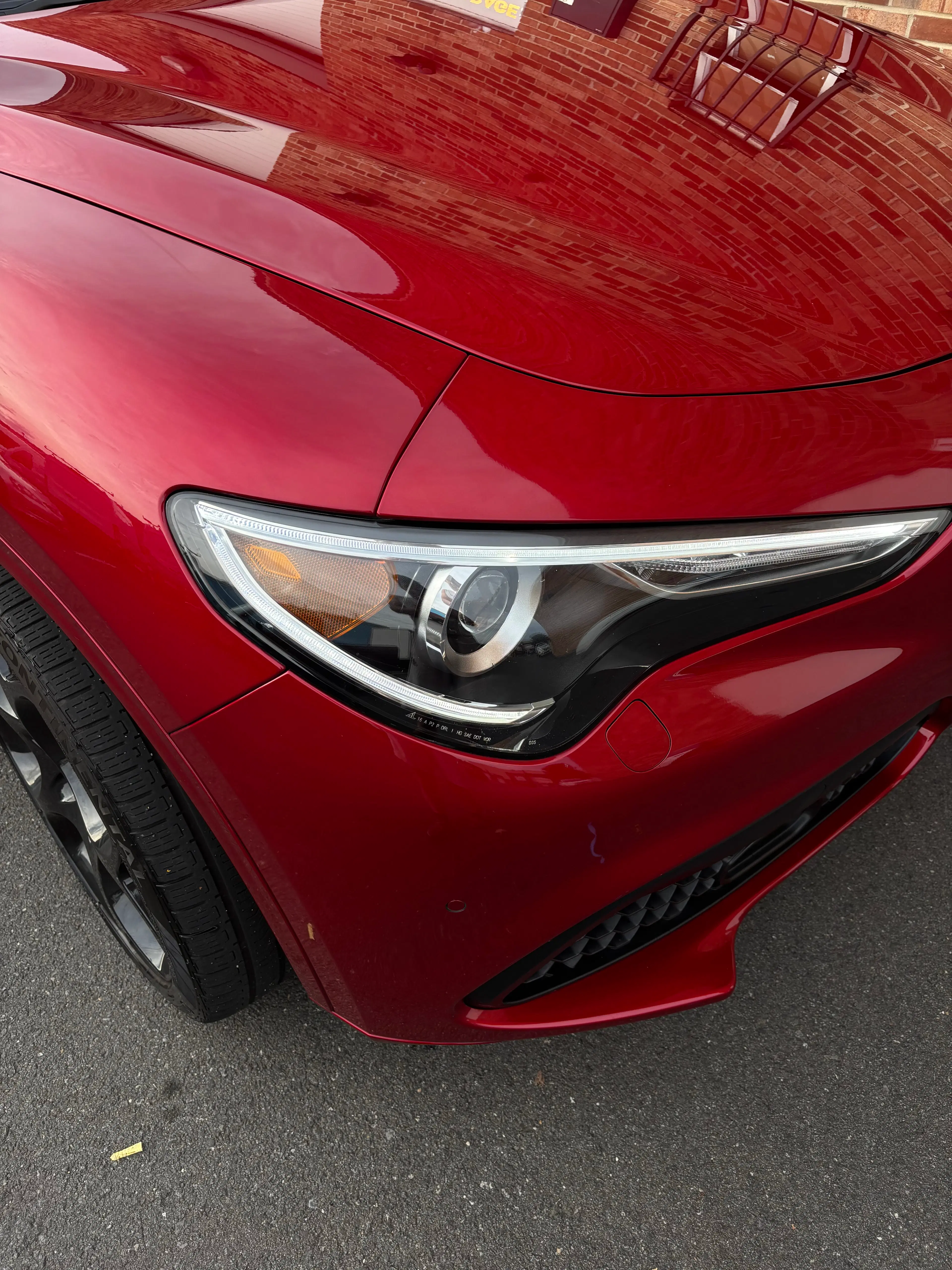 Professional Ceramic Coating Example 5